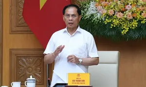 Phó thủ tướng: Xử nghiêm chủ đầu tư dự án điện chậm tiến độ