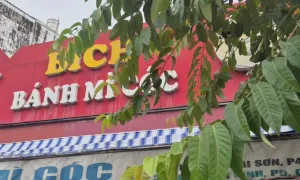 Vi khuẩn Salmonella khiến 316 người TP HCM ngộ độc sau ăn bánh mì